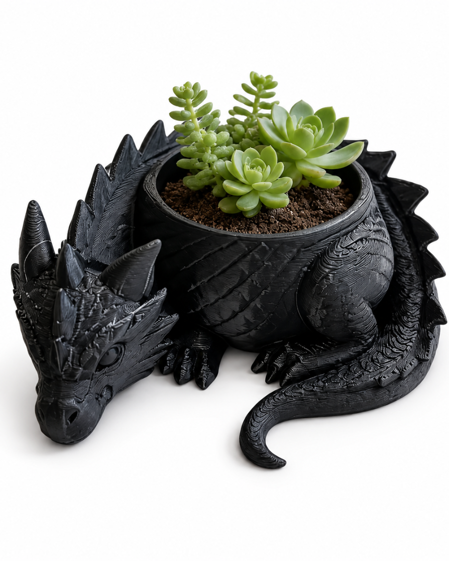Sleeping Dragon Succulent Planter